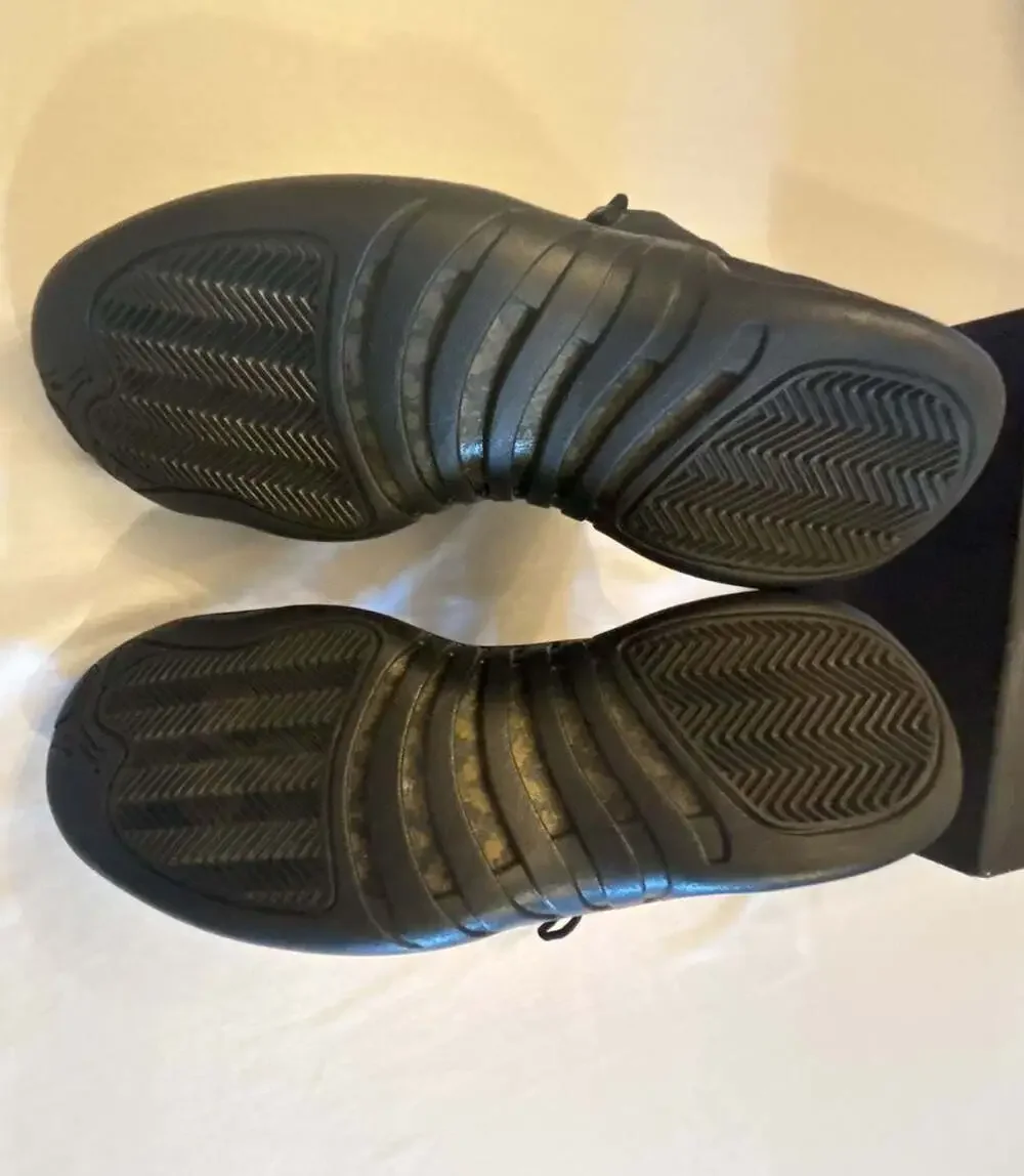 Jordan air 12